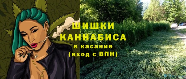 гашик Алексеевка