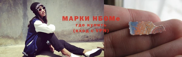 гашик Алексеевка