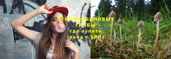 Альфа ПВП Алексин