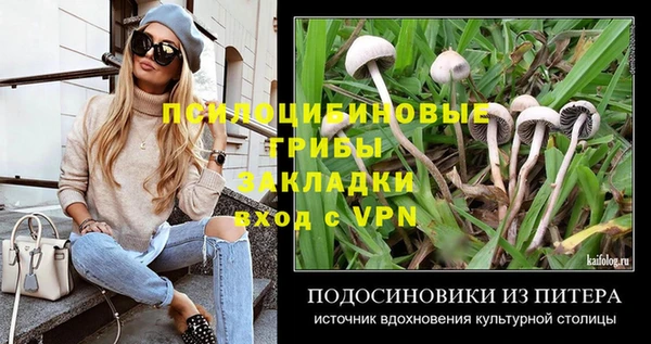 гашик Алексеевка